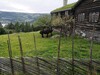 IMG_20200802_113300