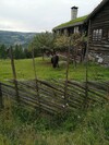 IMG_20200802_113309