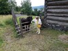 IMG_20200802_113401