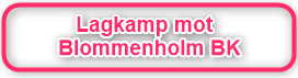 Blommenholm fikk revansj