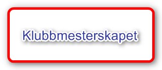 Svein Magne og Audun klubbmestere 2016