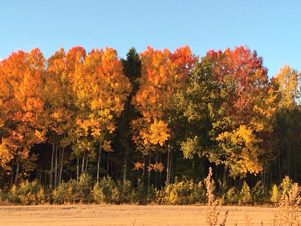 Terminliste for høsten er lagt ut