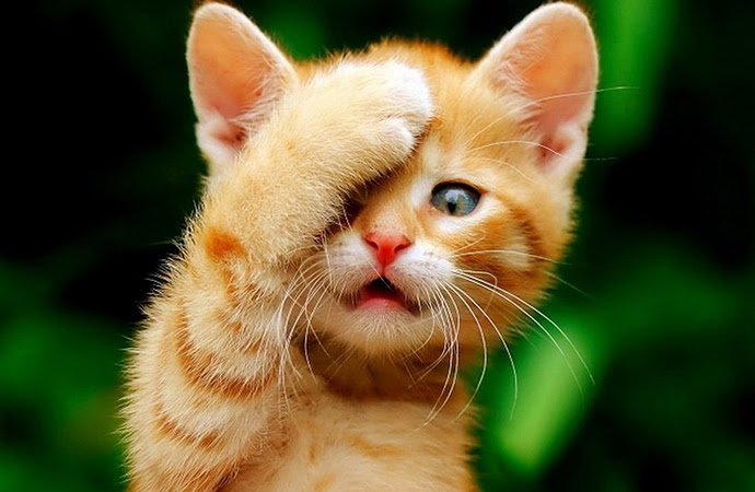 Det er av sine eigne ein skal ha det!! Lena og Jan Frode fekk ein brå slutt på seiersrekka, då ho Mor sjølv hyra inn makker for å stoppe dei! 