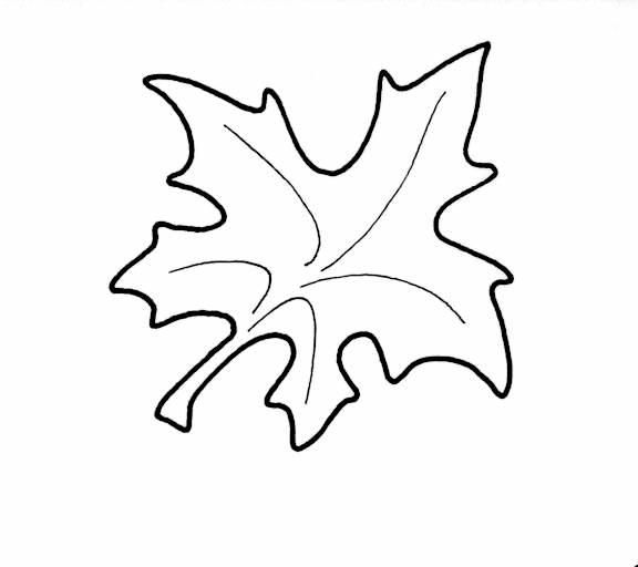 Norge junior imponerer i White House i Nederland